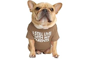 ShopINess Camiseta Perro y Mascotas con Texto: Todavía Vivo con Mis Padres (Khaki, M)