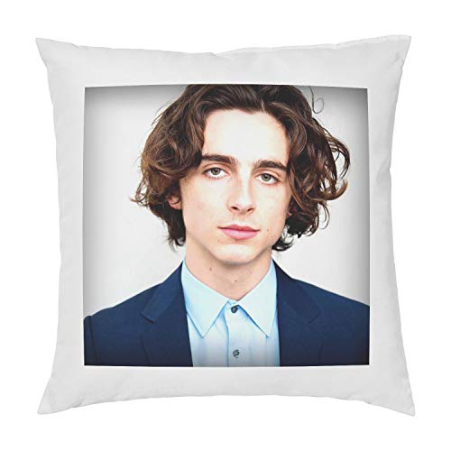Stocking Fillers Timothee Chalamet Cushion Pillow - Pop Art - 100% Cotton - Available with or without filling pad - 40x40cm (Cover and filling pad)