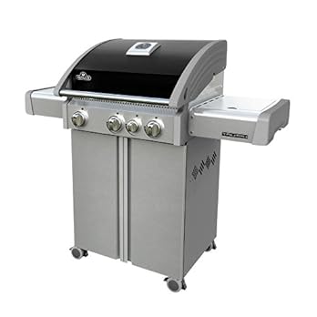Napoleon Gasgrill Triumph 410 Mit Seitlicher Feuer