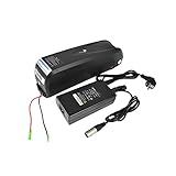 Pswpower EU No Tax 48V 13Ah Ebike Battery + 54.6V 2A Charger, Hairon the Interior Battery 18650 ebike Battery Pack fit 48V 750W/ Motor, Li-ion Battery for Electric Bike Scooters Bicycle Electric Tricycle (Germany Warehouse)