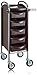 Efalock Piccolo 6002 Work Trolley - High/Large Wheels - Mocha - 1 Item