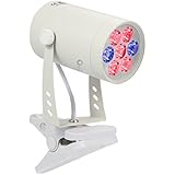 Lampe croissance plante