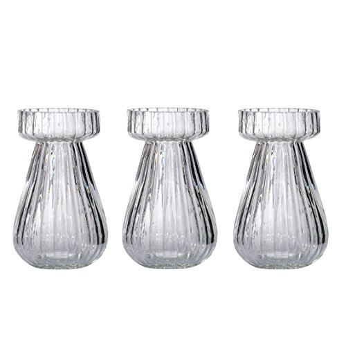 3er Set Glasvase Hyazinthenglas 14 cm Blumenvase Hyazinthen Tischvase Deko Vase Glas Windlicht Teelicht Kerzenglas (3er Set Klar)