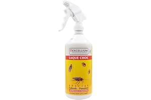 EXCELLIUM PROFESSIONNEL Excellium | Laque Choc Insecticide Rampants spécial Cafards & Punaises | Spray 1 L Protection Longue Durée