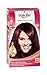 Schwarzkopf Palette Intensive Cream Colour, Dark Bordeaux Number 872 - Pack of 3