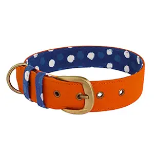 PetWale Orange with Blue Dog Collar - (Size : Large)