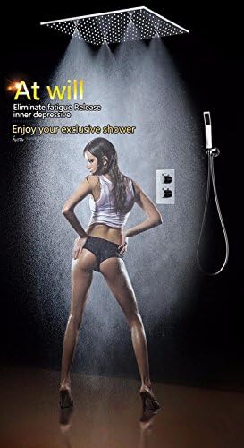 WEITING 20" Rainfall Hand Shower Head Thermostatic Shower Set SUS304 Mirror Panel with Shower Head Mist Spray SPA Embedded Box Concealed