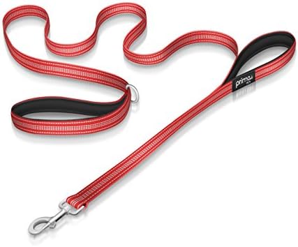 Reflective 180 cm Nylon Dog Lead with Padded Double Handles, Heavy Duty with Thick Neoprene Dual Handles for Control Safety Training Durable Traffic Handle, 2 Handles (MEDIUM – 2 cm Width, RED)