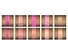 10 Pigmented Professional Blush & Bronzer Palette Makeup Kit Set Pro Palette High-end Formula (Blushes & Bronzer)