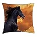 Produktbild K0k2t0 Animal Decor Throw Pillow Cushion Cover, Galloping Frisian Horse with Warm Hot Sun Rays Intensity Honor Grace Theme, Decorative Square Accent Pillow Case, 18 X 18 inches, Black Orange