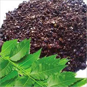 Creative Farmer Neem Cake Natural Bio-Fertilizer for Farming (1 Kg)