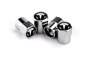 fibhyrtingy 4pcs Car Tire Air Valve Caps- Auto Wheel Tyre Dust Stems Cover with Logo Emblem Waterproof Dust-Proof Universal fit for All Cars (fit T Silver)