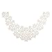 Produktbild Phenovo Ethnischen Gestickten Blumen Ausschnitt Kragen Spitzenbesatz Applikation Sewing DIY Kragen - Weiß, 46cm x 27cm