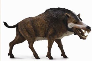 Collect A Prehistoric Life Daeodon Deluxe Toy Figure (1:20 Scale) by Getting Fit