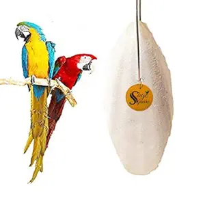 Sage Square Natural Calcium Source Cuttlebone Fish for Birds, Parrot (100grm)