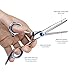 Hairdressing Scissors, Scissors Hair, Professional Barber Salon Hair Cutting Scissors Tools Set, Haircut Cutter Shears Kit For Home and Barbershop, Include 1 Professional Hair Cutting Scissors, 1 Texturing Thinning Scissors, 1 Comb and 1 Black Case, Apriller