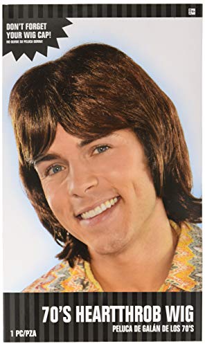 Preisvergleich Produktbild 70er-Jahre Frauenschwarm ABBA Björn Perücke