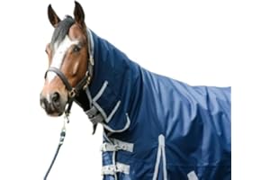 Horse Masters Turnout Rug, Waterproof, 600D, Full Neck, 300g Heavyweight, Blue & Purple (Blue, 6'3")