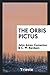 Produktbild The Orbis Pictus