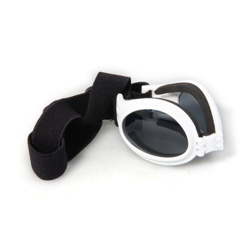 TOOGOOR-White-Framed-Pet-Puppy-Dog-UV-Protection-Goggles-Sunglasses-Eyewear