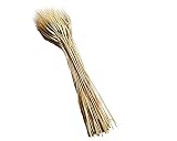 PRIMA SCELTA Espigas para bomboneras, bautizo, Comunión, Confirmación, boda, ceremonia, natural, Prima Scelta (\"primera elección\") (rubio natural)