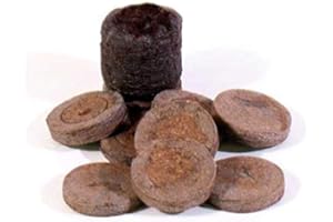 Jiffy Lot de 100 pastilles de tourbe pour semis