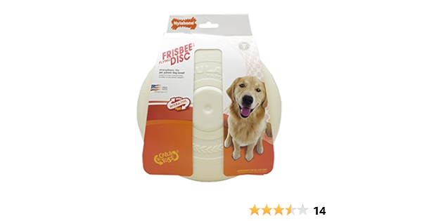 nylabone frisbee