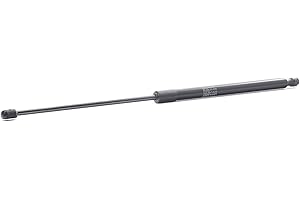 Stabilus 968221 LIFT-O-MAT - Resorte de gas (635 Newton)