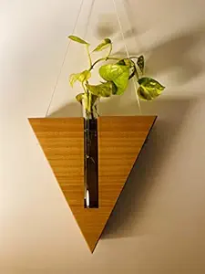Labzio Home - Stylish Wooden Triangle Flower vase with a Glass Test Tube for Homes ,Offices, cafes, 1 Large