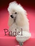 Pudelkalender 2012 by 