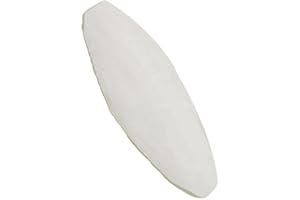 QYEW 10 Pezzi di Osso di Seppia per Uccelli,Osso di Seppia Naturale per Uccelli e rettili Articoli Sanitari - Osso di Seppia Sfuso con Supporto per rettili Tartarughe Lumache Pappagalli Cockatiels