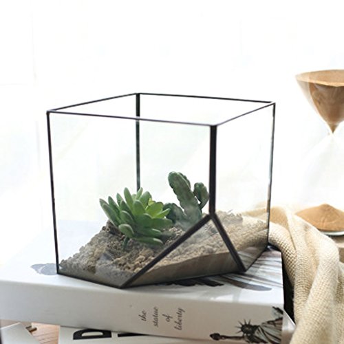 Preisvergleich Produktbild Glasterrarium Cube Fairy Gartenhaus Gewaechshaus Groesse L