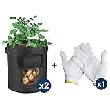 tomate dulce variedad Reutilizable: garantía de calidad, nuestras bolsas de cultivo son resistentes y duraderas, se utilizan en todas las estaciones, no hay contaminación del medio ambiente, muy ecológico y económico para tu plantación personalizada.