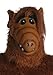Produktbild FUN Costumes Adult Overhead ALF Mask Standard