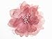 Glitz4Girlz Dusky Pink Large Shimmer Flower Clip