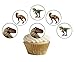 Produktbild 12 vorgeschnittenen Dinosaurier Jurassic Essbar Disc Cupcake Topper