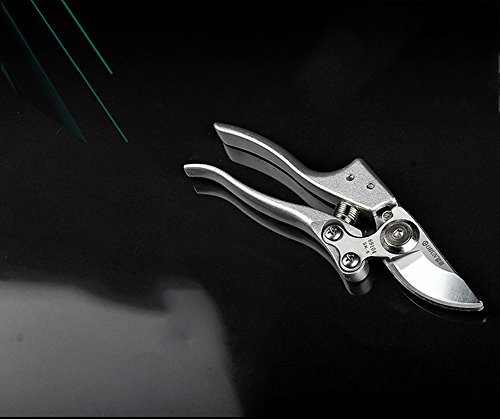 SCISSORS Shears Bypass Fruit Branches Garden Tools Multifunctional Labor Saving Pruning Shears Gardening Fruit Branches