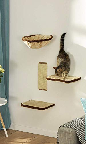 Tout Savoir Sur Larbre à Chat Mural