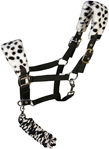 PADDED EQUESTRIAN HORSE RIDING BRIDLE PONY COB HEADCOLLAR LEADROPE HALTER SIZE