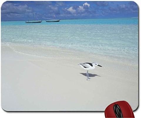 EXCELLENT BEACH MALD?VES mouse pad computer mousepad