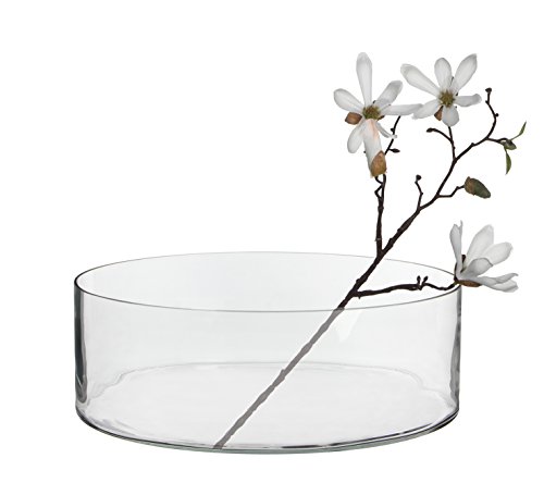 Mica decorations 147500 Schale, Dalio, transparent - 2