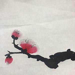 INKSTON Unverarbeitetes 3338 Xuan-Papier 70 * 138 cm 25 Blättern