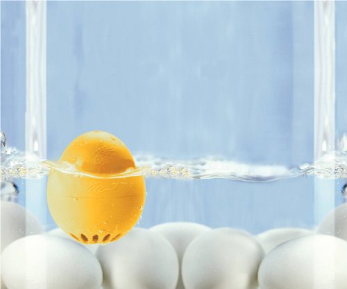 Brainstream A001390 Eieruhr Piep-Ei „Bodino Chicken Parade“, Kunststoff, bunt, 6 x 6 x 5 cm - 2