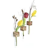 Fenstervase Buche gestockt Blumenvase