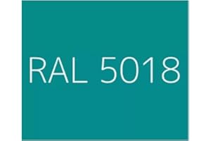 MASTER INDUSTRIA PER L'EDILIZIA Resina Epossidica Satinata per Piastrelle e Superfici Facile Applicazione 12 MQ (Epofix Coat) (RAL5018, 1 Kg)