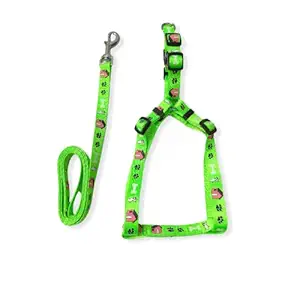 Hurrypets Dog Fancy Body Harness with Leash Belt Nylon Quality Adjustable Sizes Small (Green)