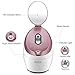 OKACHI GLIYA Facial Steamer Face Steamer Nano Ionic Hot Mist Sprayer and Sauna Inhaler Spa Opening Pores Portable and Professional Skin Care for Blackhead & Acne & Sinus Treatment - Rose Gold