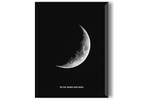 MILUKA Laminas Decorativas Pared Con Marco | Cuadros Decoracion Salon Modernos | Cuadros Decoracion Dormitorios | Laminas para Cuadros Decoracion Pared | Poster Luna Wanning Moon - Marco Negro 30 x 40