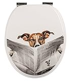 WC Brille mit robusten Metall-Scharnieren, die auf alle handelsüblichen Stand- und Wand-WC's passt