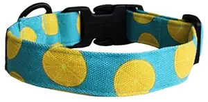 Lana Paws Citrus Punch Soft & Sturdy Adjustable Fabric Dog Collar Belt (Medium)